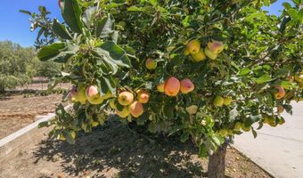 1736 Bellington Ln, Fallbrook, CA 92028
