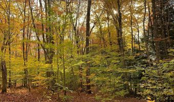 L21.1 Alder Pond Road, Andes, NY 13740