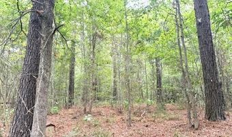 000 Highway 615 Hwy, Haynesville, LA 71038