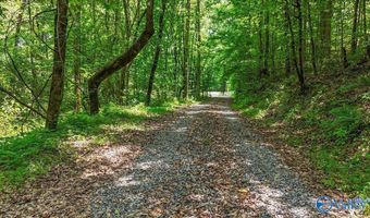 Unit # 0 Murphree Valley Road, Altoona, AL 35952