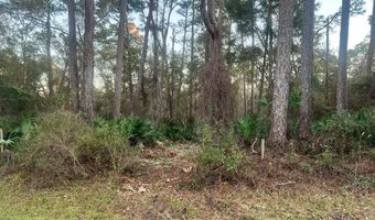 34 Gibson Rd, Apalachicola, FL 32320