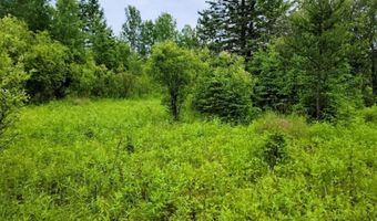 Xxx Heino Road, Angora, MN 55703