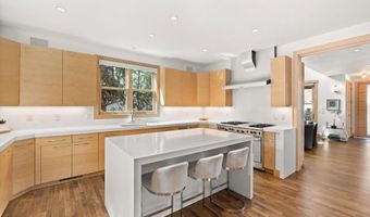 204 N Monarch St, Aspen, CO 81611