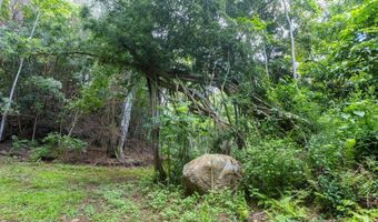 54-1749 PAIPO KANE Rd, Kapaau, HI 96755