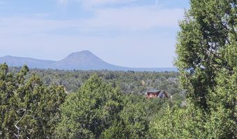 Lot 13 Ranch And Cattle, Ash Fork, AZ 86320