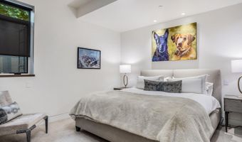 130 Primrose Path, Aspen, CO 81611