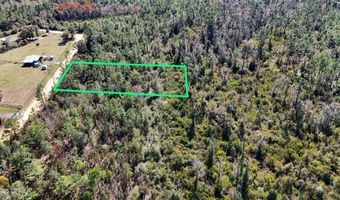 Monogahela Avenue, Alford, FL 32420