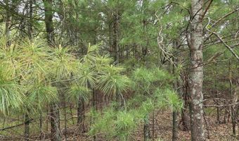 S Badger Lane lot 39, Arkdale, WI 54613