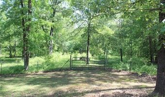 423118 E 1944 Ln, Antlers, OK 74523
