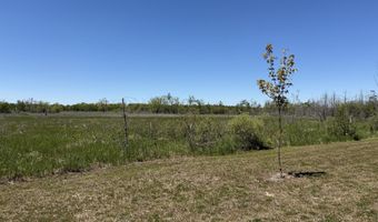 1205 Partridge Point Rd, Alpena, MI 49707