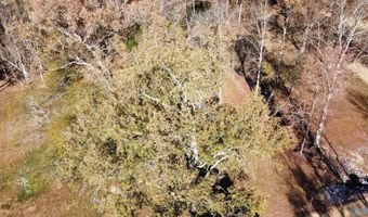 513 Rabbittown Rd, Albertville, AL 35950