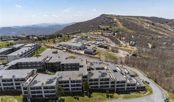 301 Pinnacle Inn Rd, Banner Elk, NC 28604