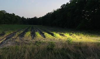 Bushville Highway lot N2 Of Lot 2, Arnaudville, LA 70512