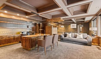 730 S Galena St, Aspen, CO 81611