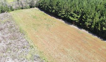 Old Buckhead Road, Bamberg, SC 29003