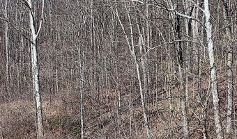 Setty Rd, Albany, OH 45710