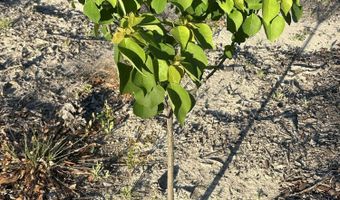 Empire Avenue, Alford, FL 32420