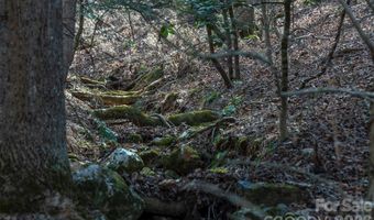 1720 Brevard Rd, Arden, NC 28704