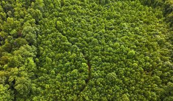 Airport Rd lot 0, Bassett, VA 24055