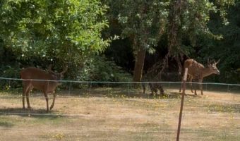 21621 S UPPER HIGHLAND Rd, Beavercreek, OR 97004