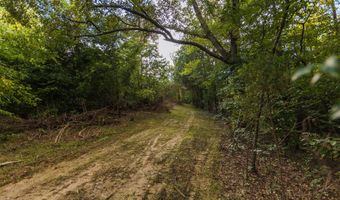 0 Brooksie Thompson Rd, Bath Springs, TN 38311