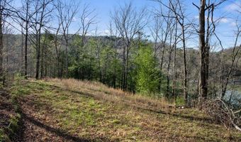 597 COUNTY ROAD 4028, Arley, AL 35541