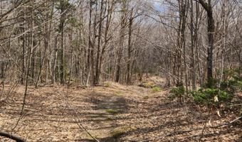 0 Clarks/Woodland Trl 409-4, Alexandria, NH 03220