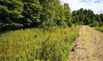 VL 104th Avenue, Allegan, MI 49010