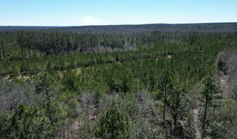 Robinsonville Road, Atmore, AL 36502