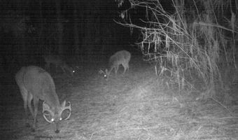 00 Hadwin Rd, Bamberg, SC 29003