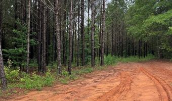 01 Parcel 2 County Road 6629, Banks, AL 36005
