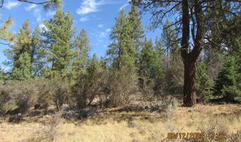 Lot 12W2 Brown Bear Lane, Bonanza, OR 97623