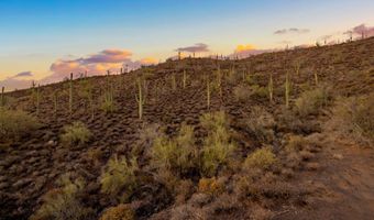 42000 N Fleming Springs Rd P, Cave Creek, AZ 85331