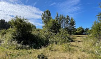 Bogynski RD, Oregon City, OR 97045