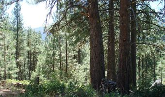 464 Collier View Rd Lot 91, Cascade, ID 83611