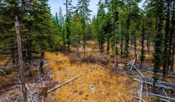 Lot12blk1 E Sedgwick Ln, Athol, ID 83801