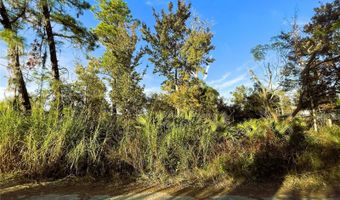 0 SR-19, Altoona, FL 32702