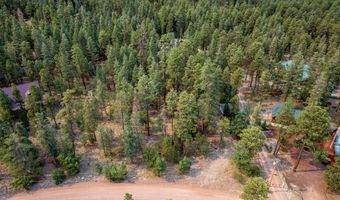 6 Co Rd 2074, Alpine, AZ 85920