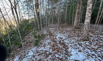 621 Round Top Rd Lot 3B, Almond, NC 28702