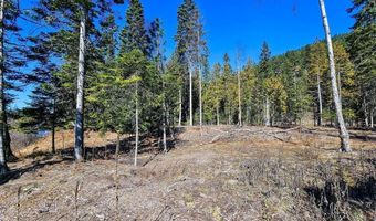 NKA Frontage Rd, Clark Fork, ID 83811
