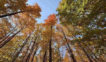 TBD Fishing Site # 2, Amasa, MI 49903