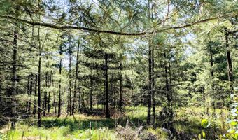 1031 Edgewood Ave, Adams, WI 53910