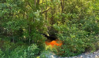2 5 Acres County Road C, Arkdale, WI 54613