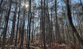 N Forty lot 2, Alexander City, AL 35010