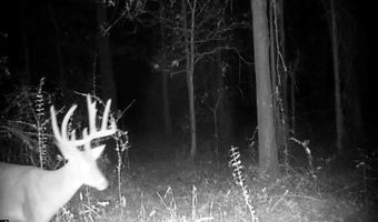 Tbd CR 4328, De Kalb, TX 75559