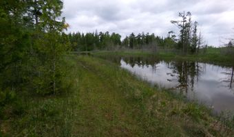 3305 El Cajon Beach Rd, Alpena, MI 49707