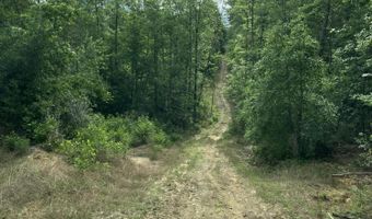 40 Acres Forestry Road 356, Beaumont, MS 39423