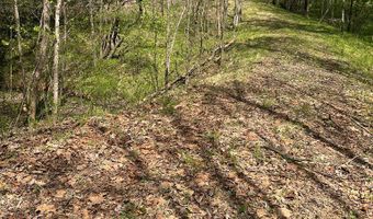 Gladys Road, Altavista, VA 24517