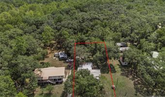 7649 22nd St, Bell, FL 32619