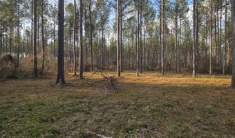 U.S. Highway 51, Bogue Chitto, MS 39629